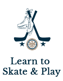 Learn to Skate & Play Logo 
