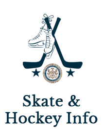 Learn to Skate & Play 