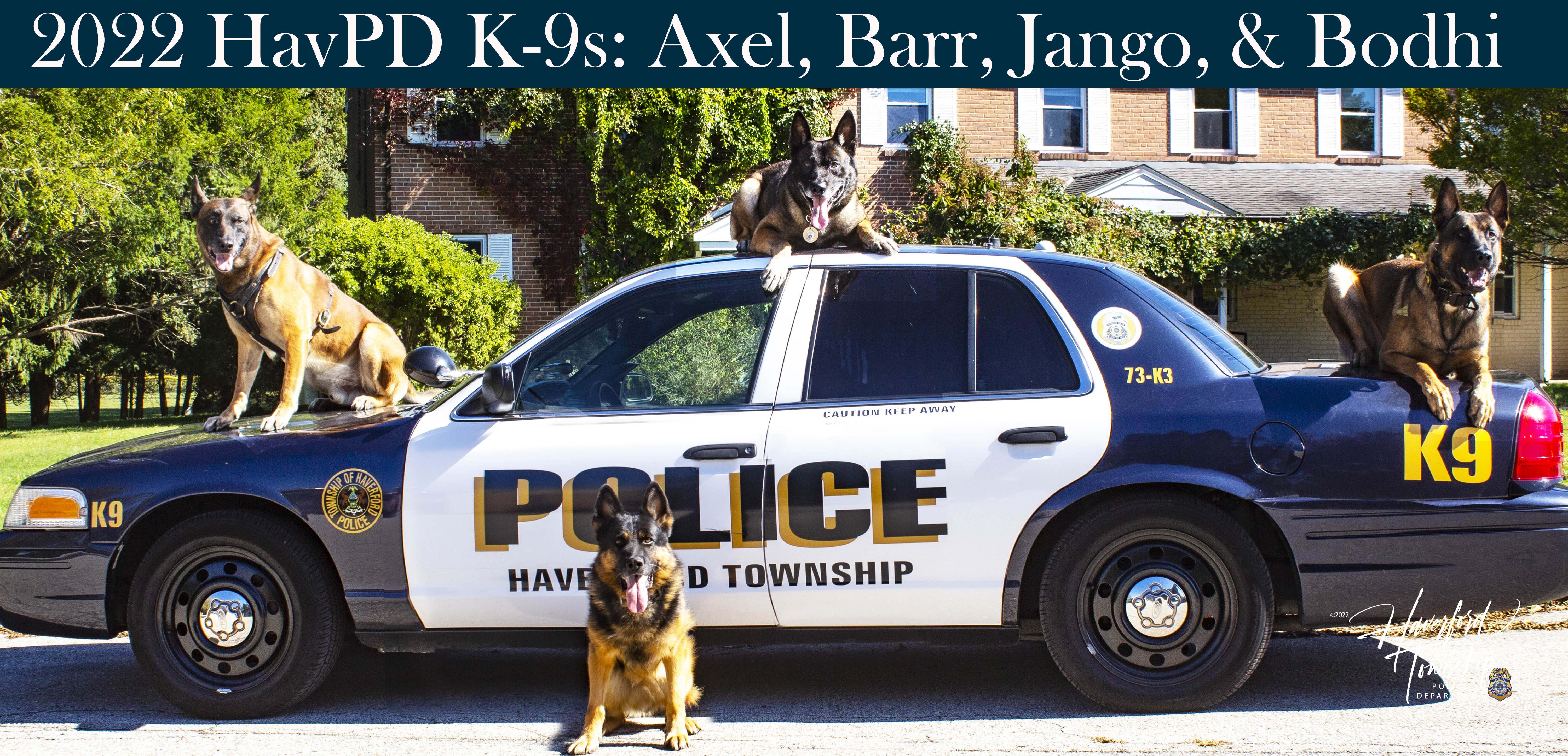 All Haverford PD K9s