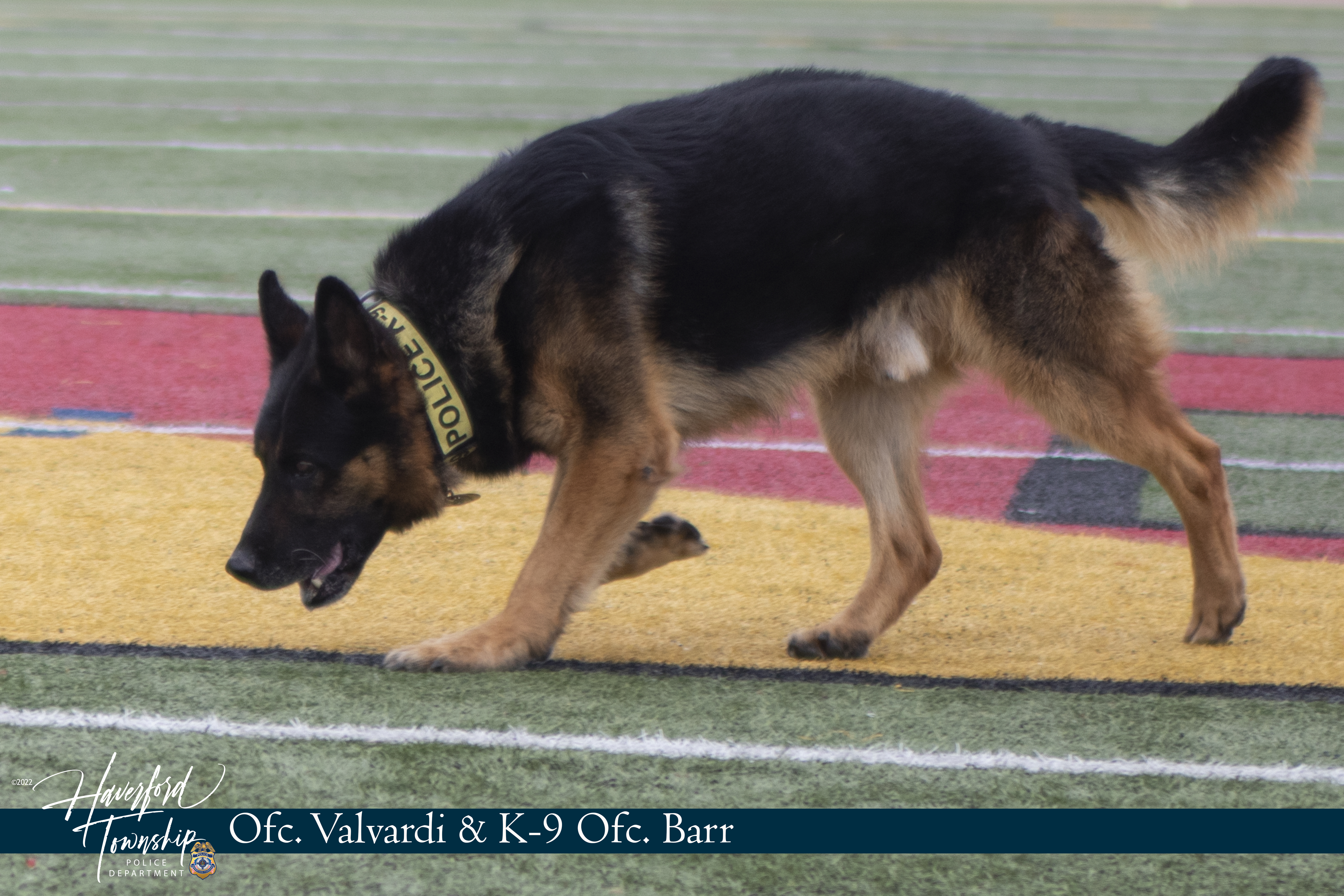 7th Annual K9 Competition